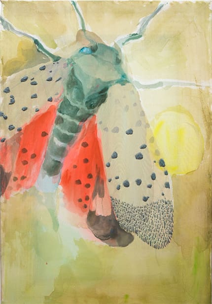 Our latest artist series rolling papers feature Lanternfly by Jia Sung