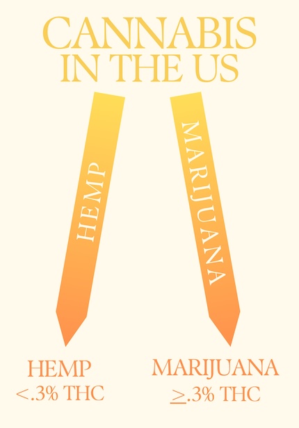 Understanding delta 8 vs delta 9 starts with the difference between hemp and marijuana.